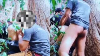 Video Panas Pasangan Bercinta Di Bawah Pohon Besar
