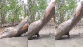 Cowok Kecanduan Ngentot Kesepian, Main Lumpur Basah Di Video Xxx
