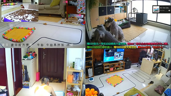 Tonton Langsung Cewek-cewek China, Goyang-goyang Bikin Makin Panas